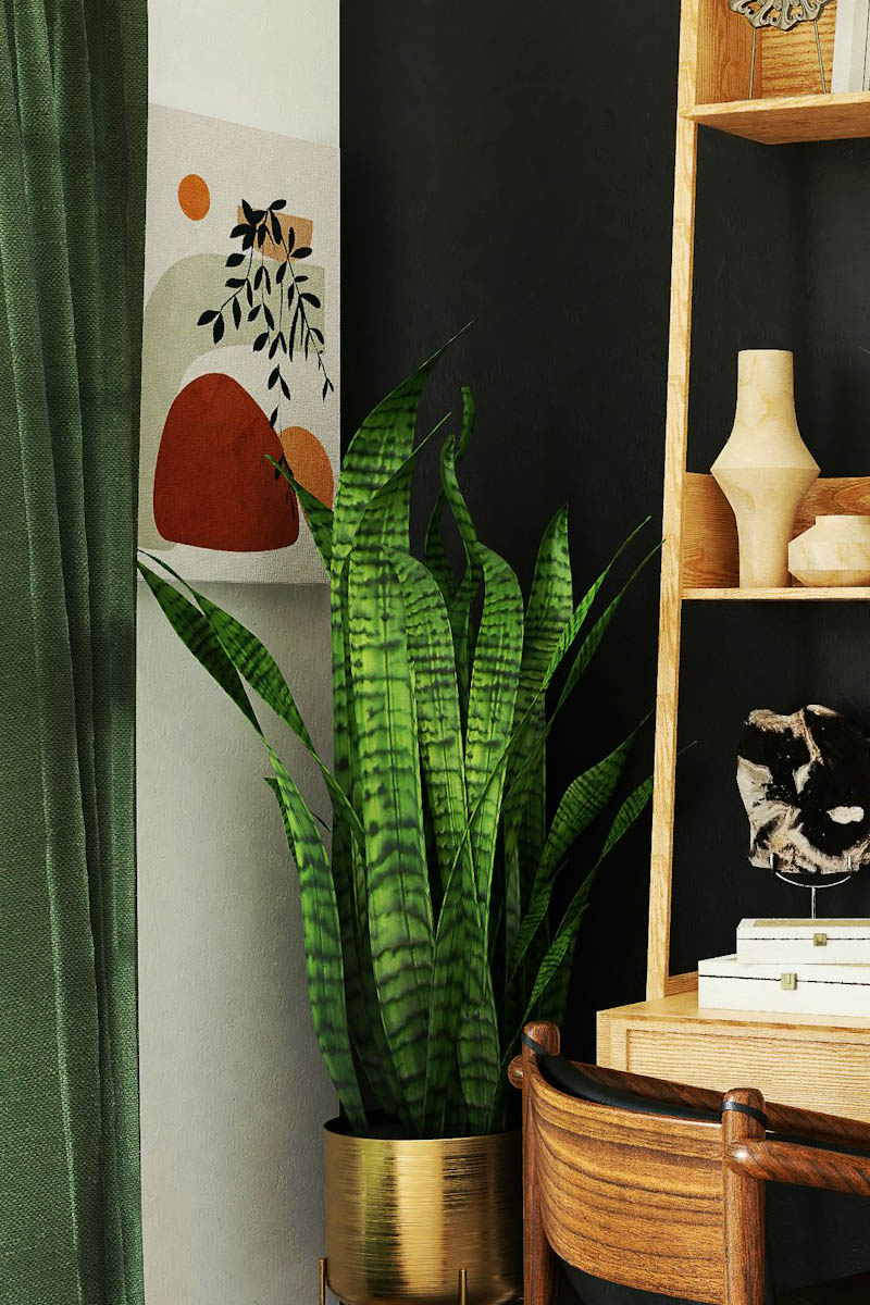 Interior Painting Colors